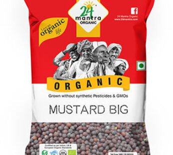24 Mantra Org Mustard Big 7Oz