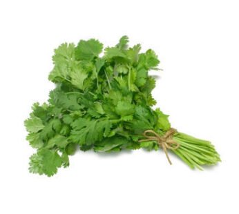 Cilantro