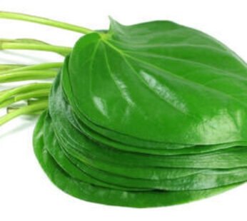 Pan Leaf