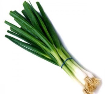 Onion Green