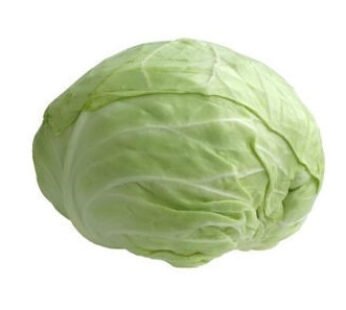 Cabbage Medium