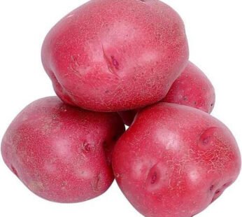 Potato Red