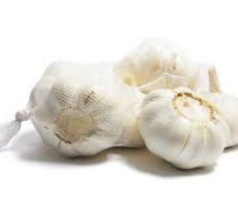 Garlic White Cello (ea)