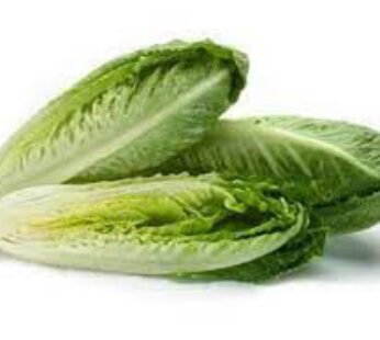 Lettuce Romaine Hearts (ea)