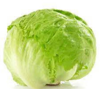 Lettuce Wrap