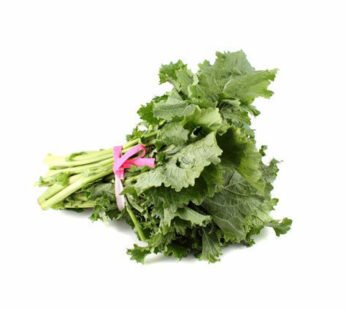 Rapini Leaf
